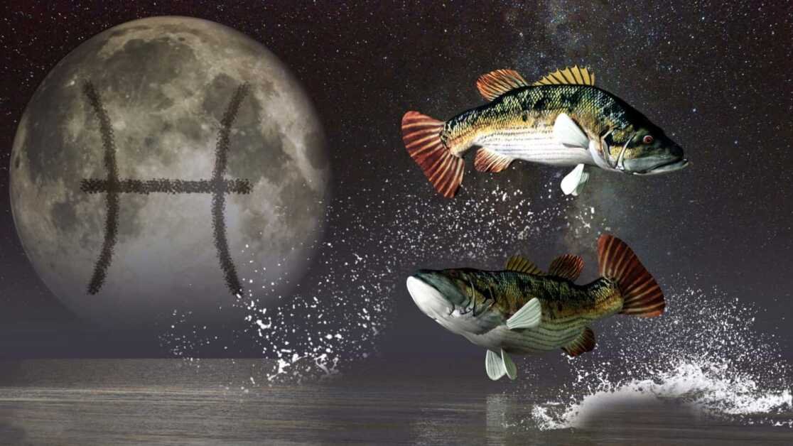 साप्ताहिक राशिफल मीन, 26 फरवरी- 4 मार्च 2023: पेशेवर इसे चुनौती देते हैं