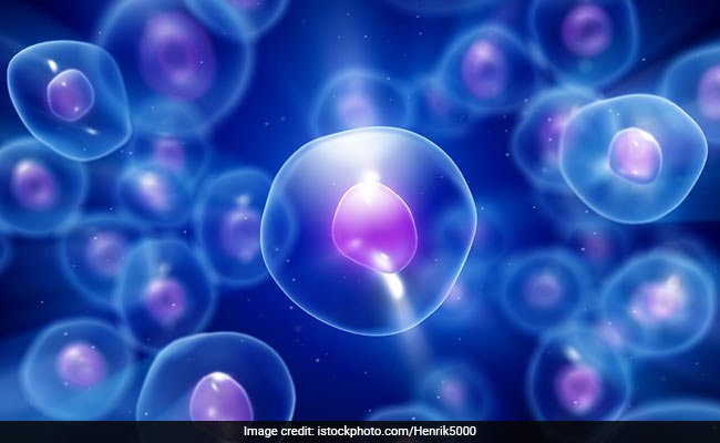 स्टेम सेल ट्रांसप्लांट के बाद आदमी एचआईवी से ठीक होने वाला तीसरा मरीज बना