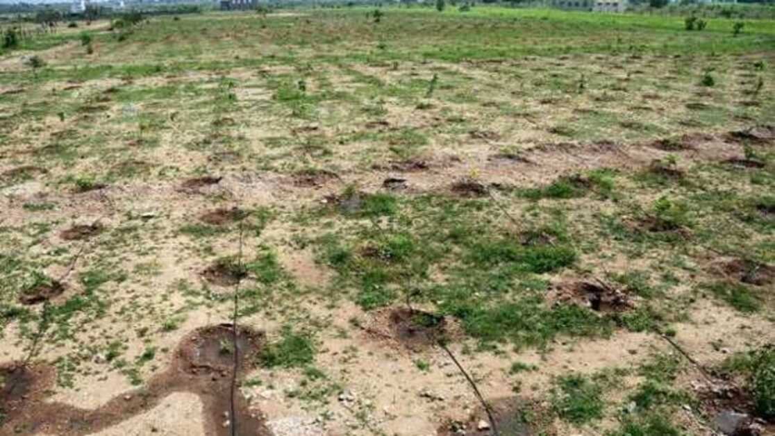 बिहार के 13 जिलों में वितरण के लिए कोई 'भूदान भूमि' उपलब्ध नहीं: रिपोर्ट