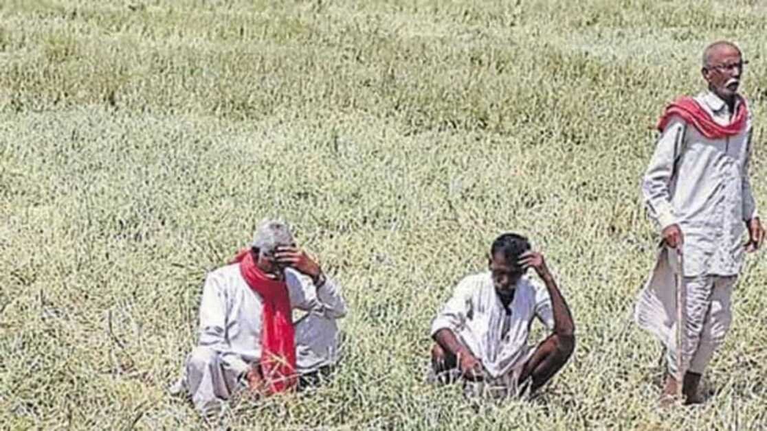 भीषण गर्मी की लहर ने भारत के कृषि क्षेत्र और अर्थव्यवस्था को खतरे में डाल दिया है