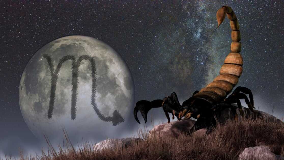 साप्ताहिक राशिफल वृश्चिक, मार्च 5- 11, 2023: नई चुनौतियों की अपेक्षा करें