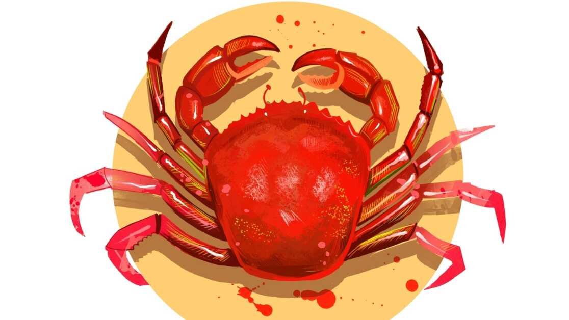 कर्क राशिफल आज, 4 अप्रैल, 2023 खतरनाक कार्यालय मामलों की भविष्यवाणी करता है