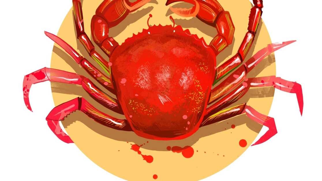 कर्क दैनिक राशिफल आज, 7 अप्रैल, 2023 धन और समृद्धि की भविष्यवाणी करता है