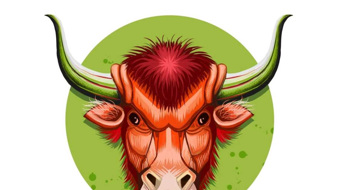 वृष दैनिक राशिफल आज, 12 अप्रैल, 2023 आत्म-प्रेम और प्रशंसा की सलाह देता है