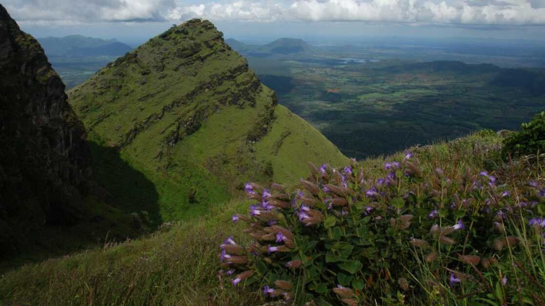 आपदा प्रभावित कर्नाटक में, पारिस्थितिक मुद्दों को हल करने के लिए चुनाव अनुकूल वातावरण नहीं हैं