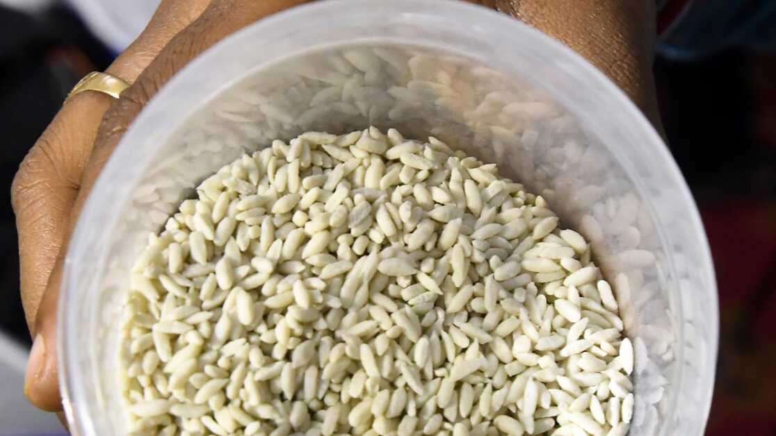 पीडीएस के जरिए फोर्टिफाइड चावल का वितरण पटरी पर : केंद्र