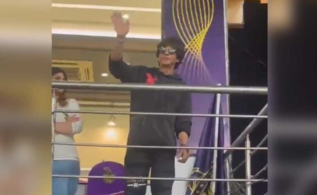 वायरल: शाहरुख खान झूम जो पठान जाते हैं क्योंकि वह स्टैंड्स से अपनी टीम केकेआर के लिए चीयर करते हैं