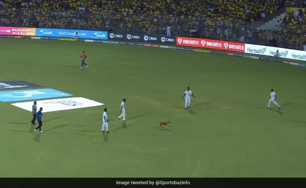 Please Click on allow