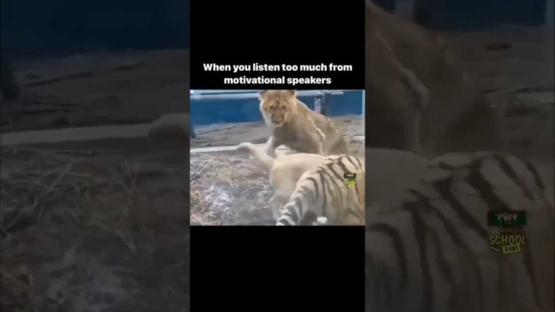 Too Much Motivation
