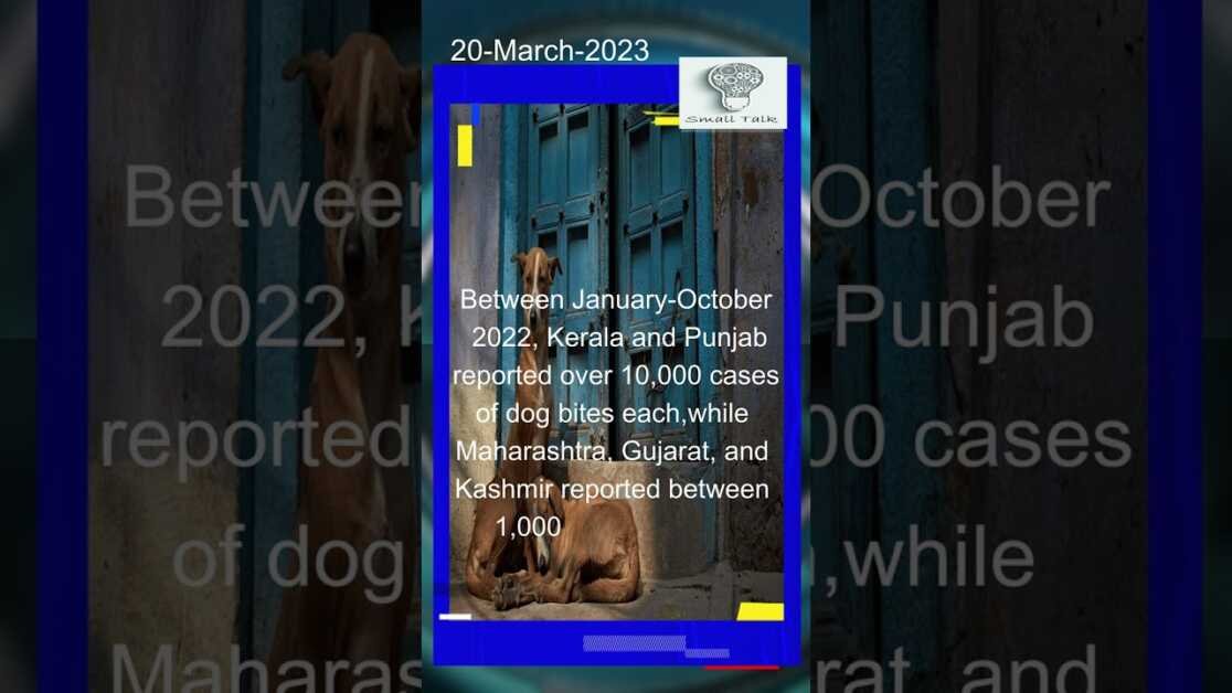 आवारा कुत्ते भारत के लिए कितनी बड़ी समस्या हैं आइये इस report में देखें