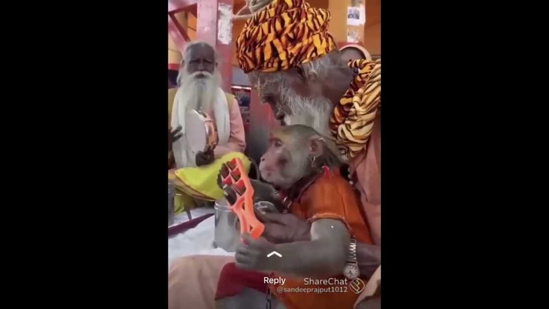 सन्यासी के साथ भजन करता बन्दर