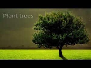 The Ankit Paurush Show – वृक्ष लगाओ | Poetry By Ankit Paurush | Hindi Poetry | Urdu Poetry